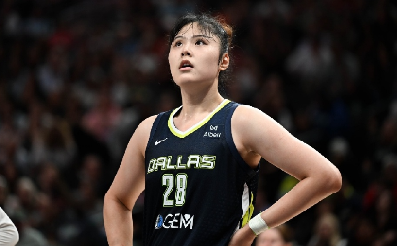 达拉斯飞翼, zr 达拉斯飞翼, zr