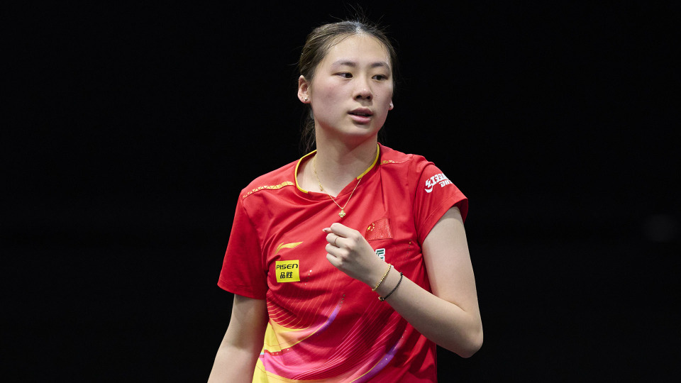 因为这是她, https, 今年的新加 因为这是她, https, 今年的新加